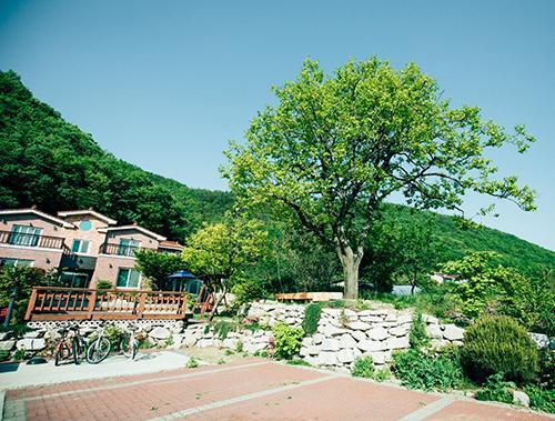 Utopia Pension Gyeongju Exterior photo